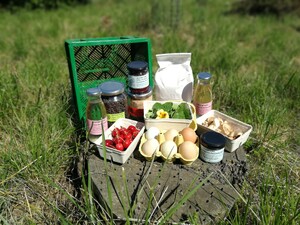 Lebensmittel in Gläsern und Papiersackerl, sowie 6 Eier in einem Eierkarton vor einer grünen Kiste. 