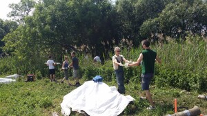 Mitglieder tragen gemeinsam Baumstämme über ein Feld