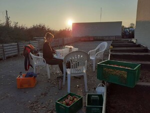 eine Frau sitzt an einem Tisch im Freien und schneidet Äpfel.
