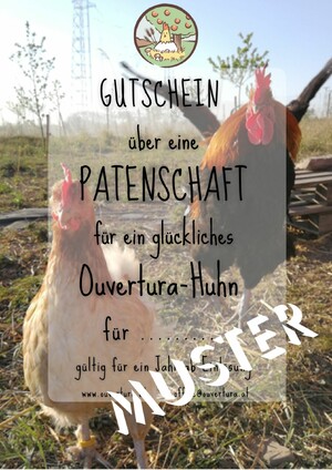 Ein Mustergutschein für eine Hühnerpatenschaft